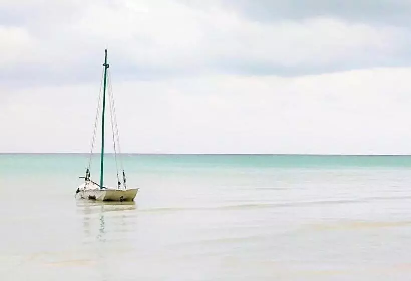 La Constanza De Rulo