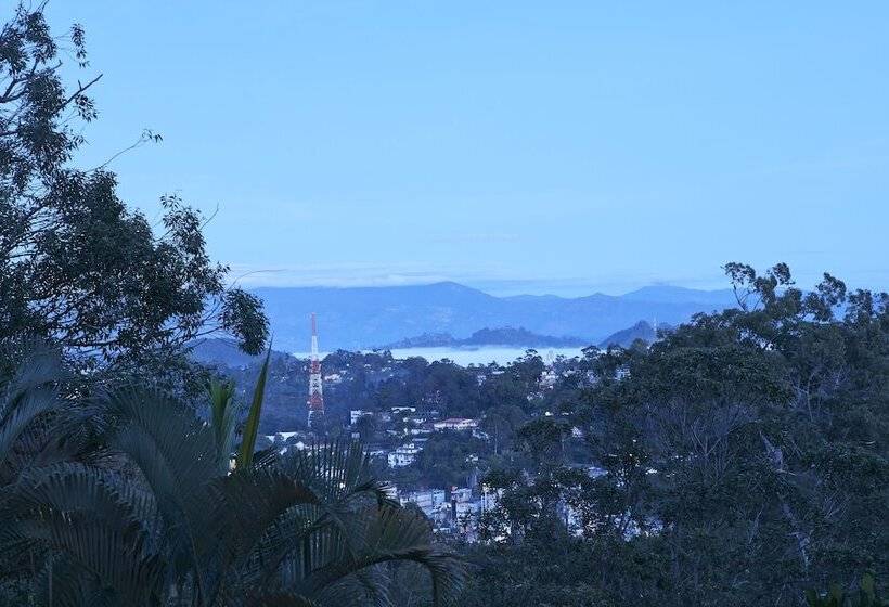 Manor House Boutique Villa