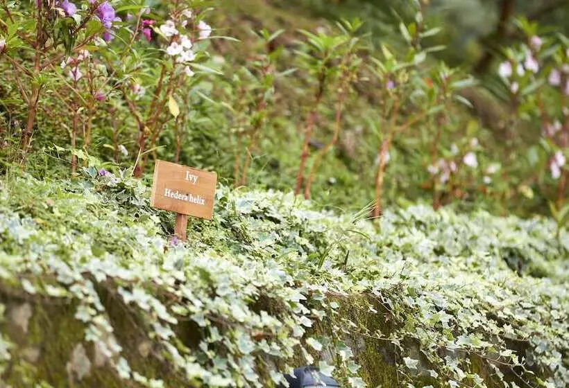 Manor House Boutique Villa