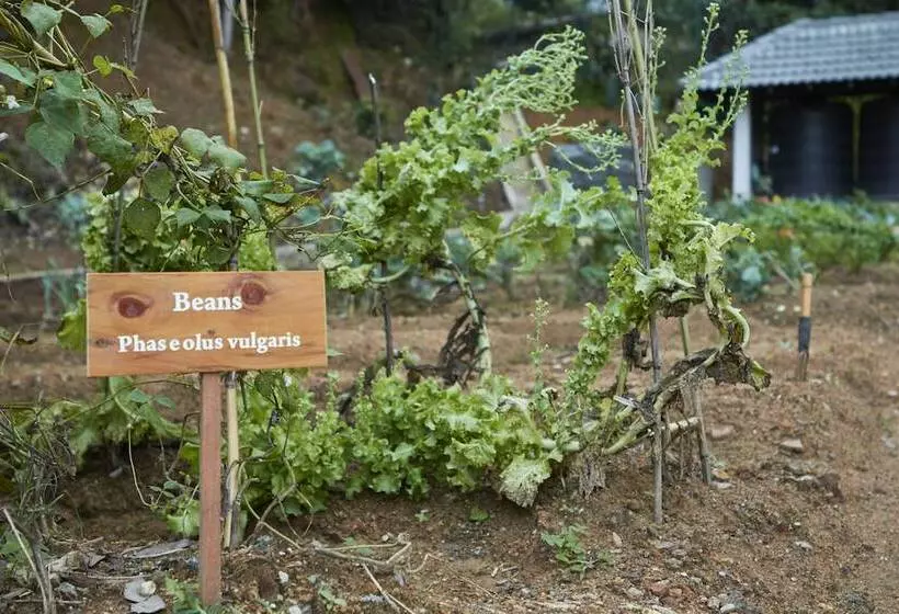 Manor House Boutique Villa