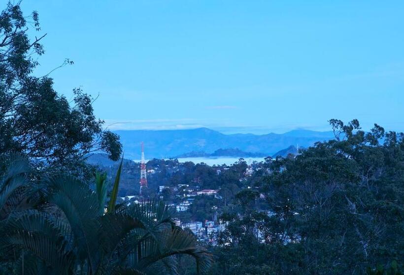 Manor House Boutique Villa