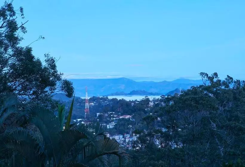 Manor House Boutique Villa