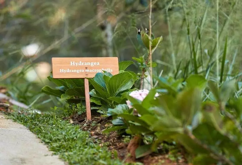 Manor House Boutique Villa