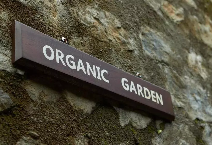 Manor House Boutique Villa