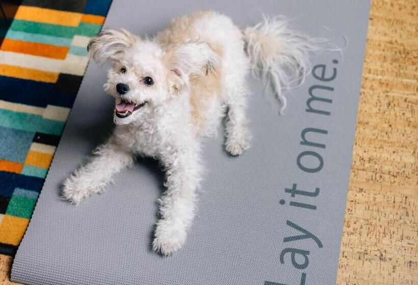 Even Hotel New York Midtown East, An Ihg