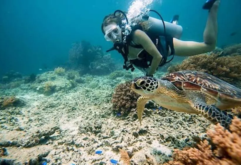 בית מלון כפרי Kaleydo Villas