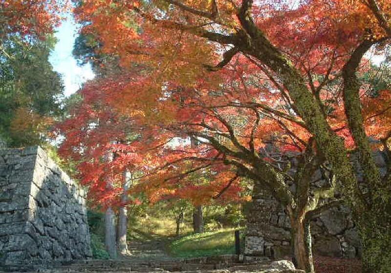 בית מלון כפרי Sun Hitoyoshi