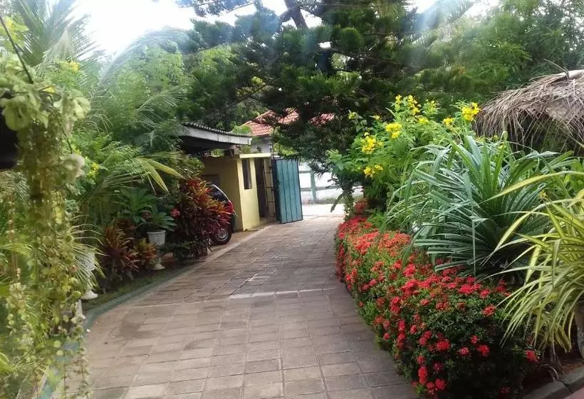 Pension Embiente Guest House