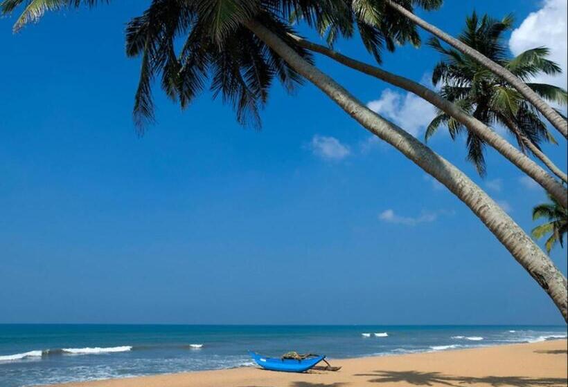 膳宿费 Gedara Villa