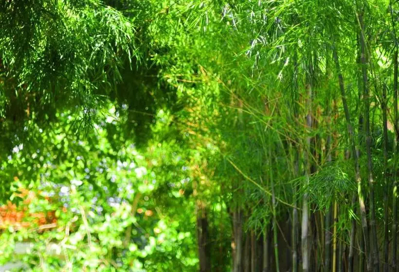 Sari Villa Sanur Beach