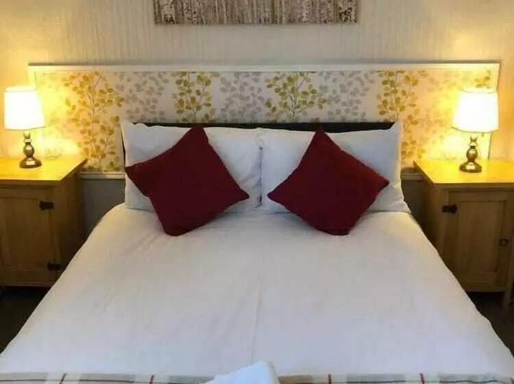 Hotelli The Black Swan