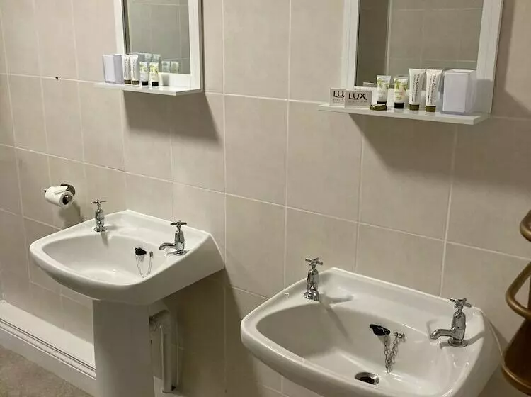 Hotelli The Black Swan