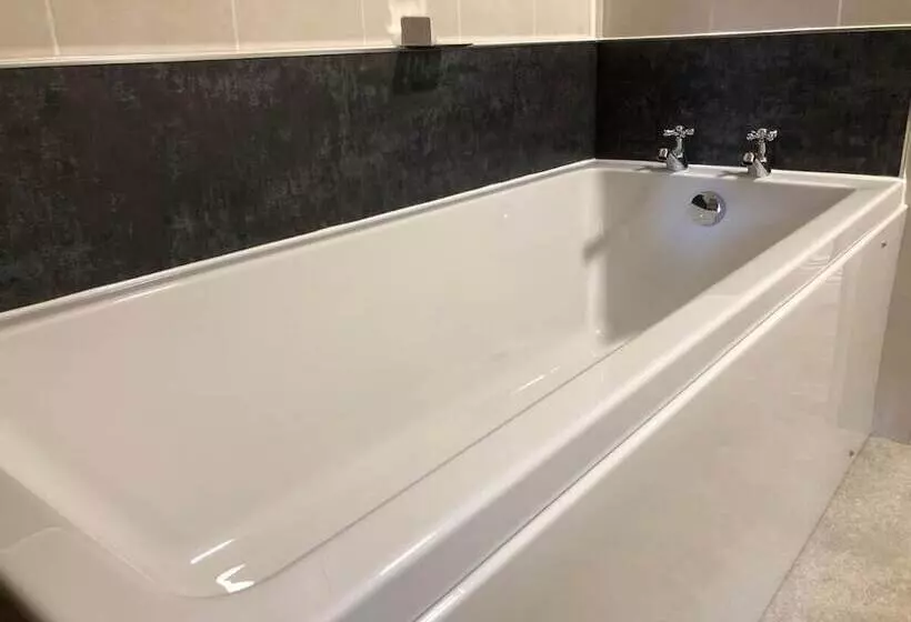 Hotelli The Black Swan