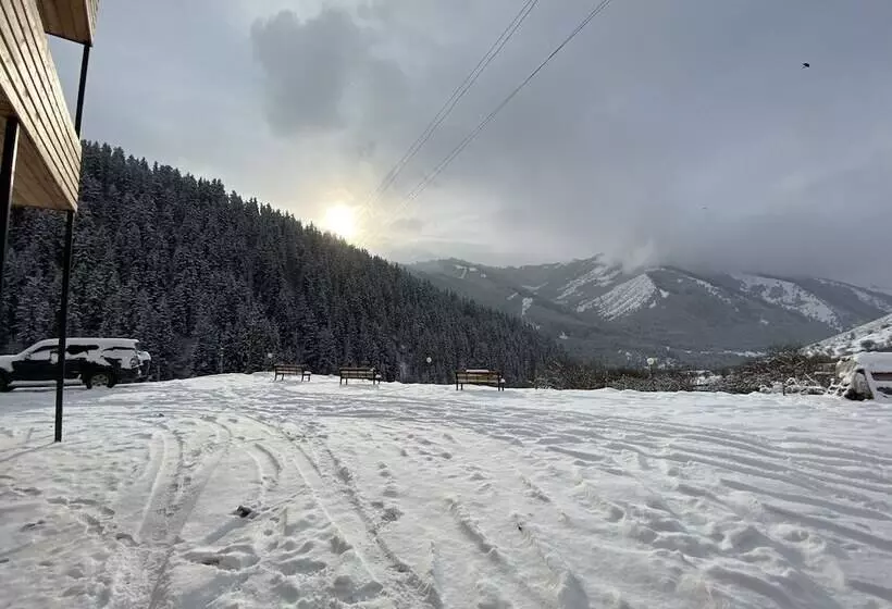 پانسیون Dinar Sky