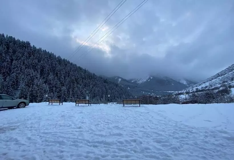پانسیون Dinar Sky