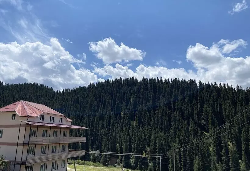 پانسیون Dinar Sky