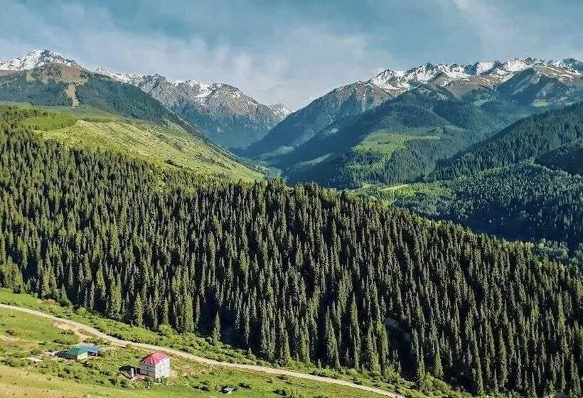 پانسیون Dinar Sky