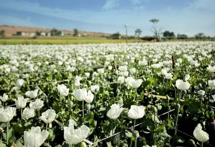 Lomakeskus Pangarh Lake Retreat