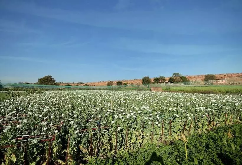 Lomakeskus Pangarh Lake Retreat
