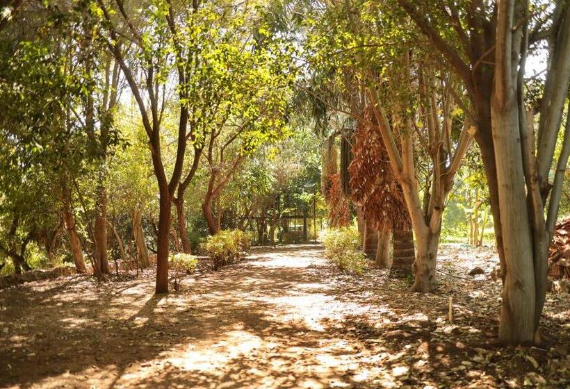 Lomakeskus Pangarh Lake Retreat