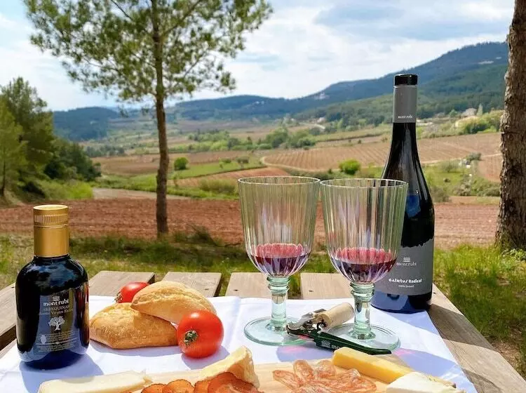 Casa Gran 1771   Montrubí Winery Hotel   Adults Only