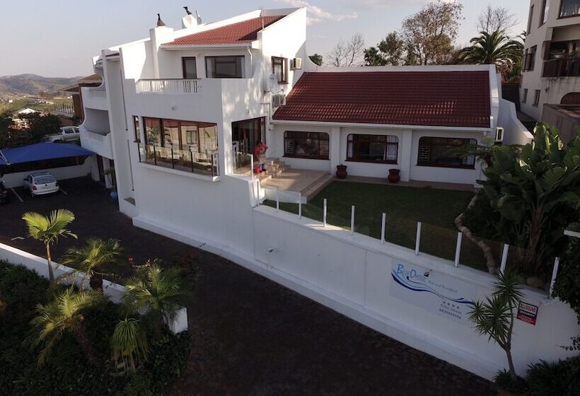 צימר Blue Oyster