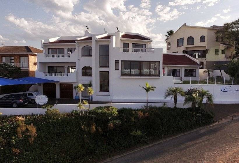 צימר Blue Oyster