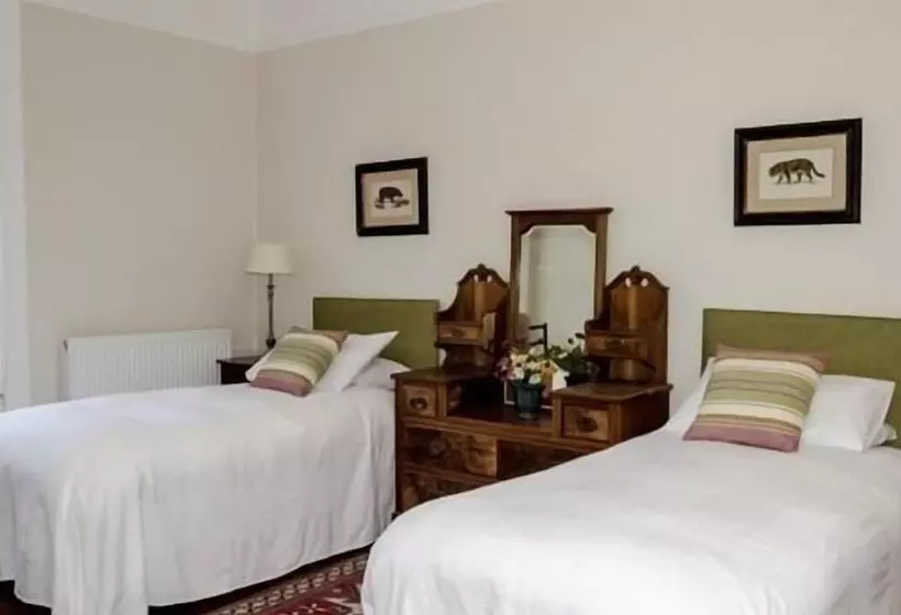 Bed and Breakfast The Lions