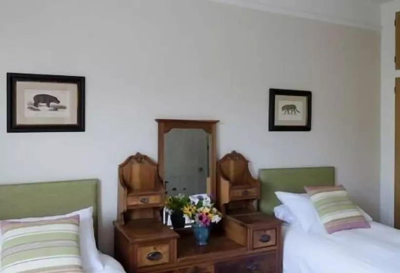 Bed and Breakfast The Lions