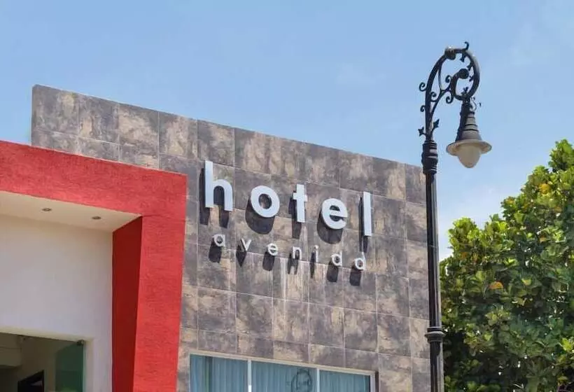 בית מלון כפרי Avenida