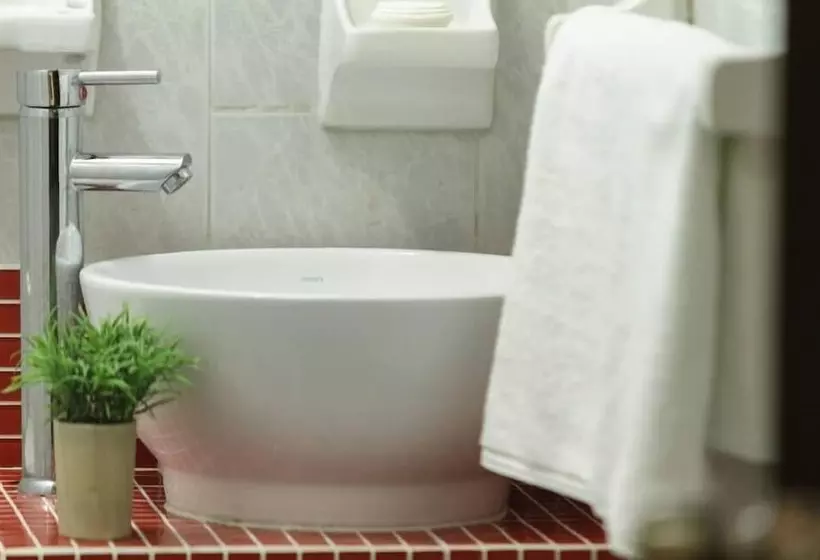 בית מלון כפרי Avenida