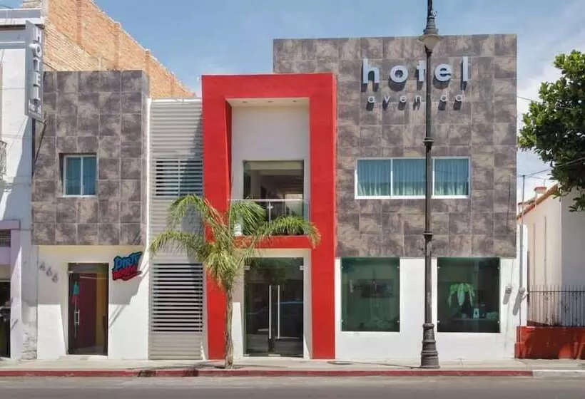 בית מלון כפרי Avenida