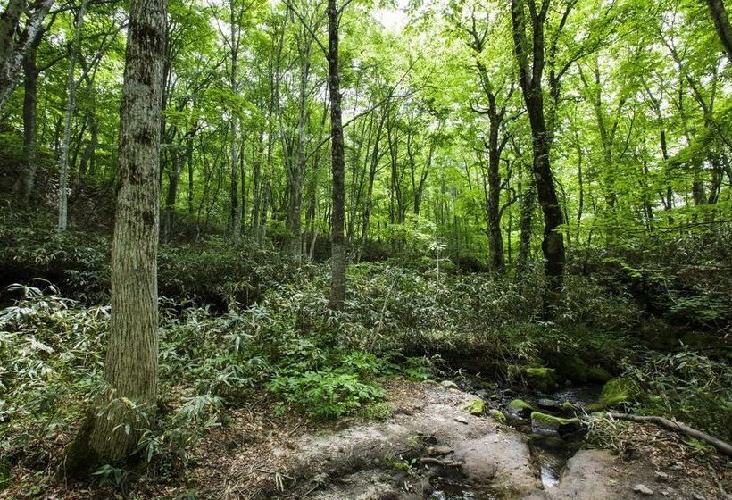 فندق Kyukamura Okudaisen