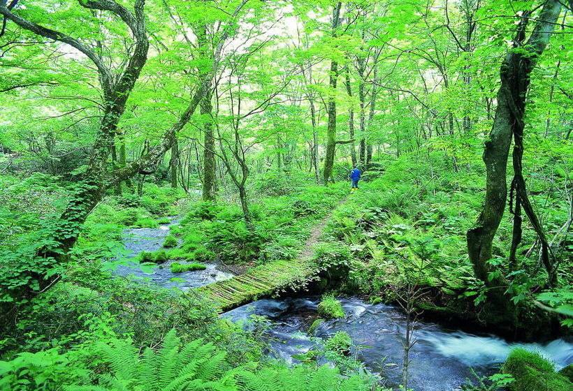 فندق Kyukamura Okudaisen