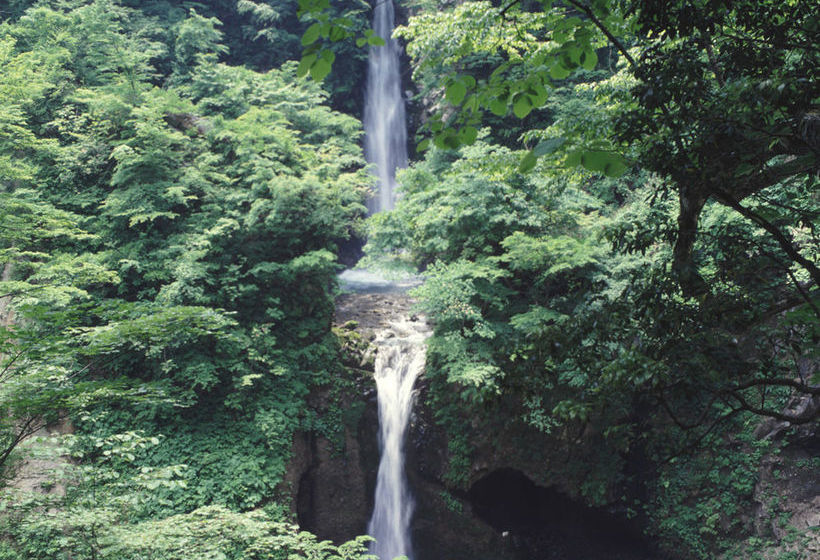 فندق Kyukamura Okudaisen