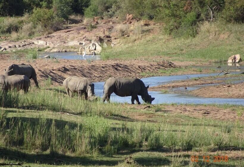 Отель Mziki Safari Lodge