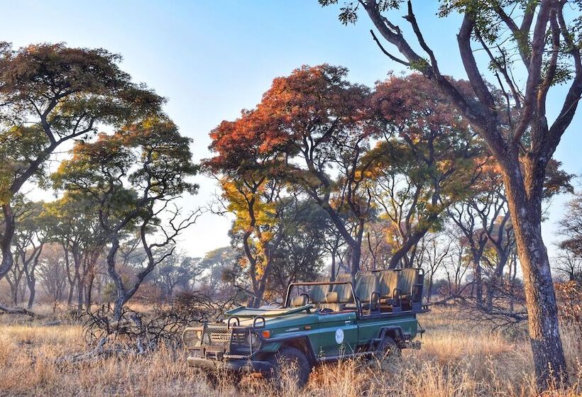 Отель Mziki Safari Lodge