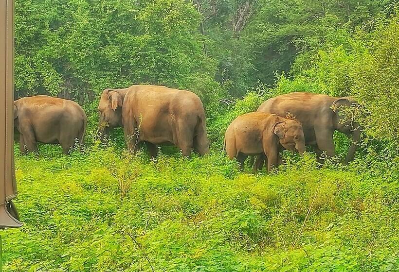 בית מלון כפרי Sisira Natural Lodge   Sigiriya