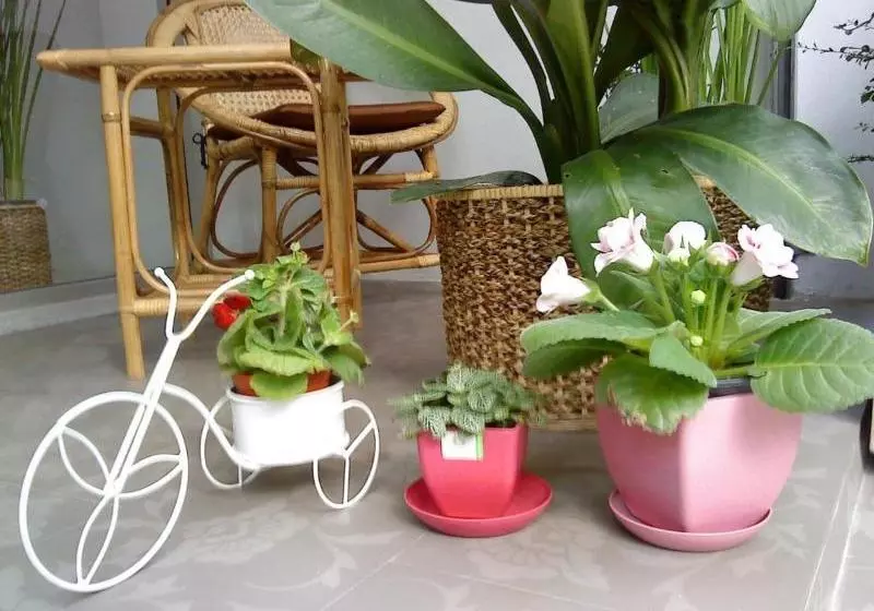 Пансион Sabai House