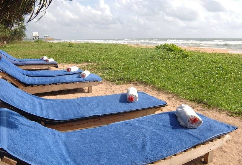 بنسيون Wunderbar Beach