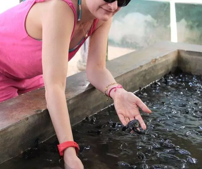 بنسيون Wunderbar Beach