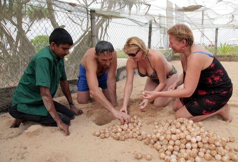 بنسيون Wunderbar Beach