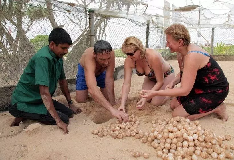 بنسيون Wunderbar Beach