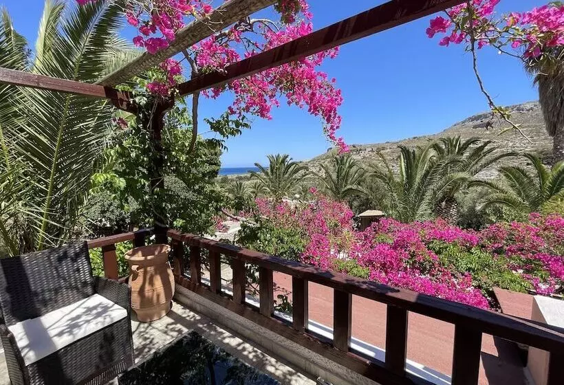 Studios Stella & Stella S Traditional