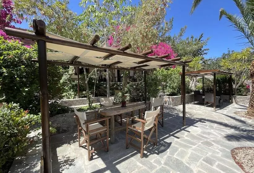 Studios Stella & Stella S Traditional