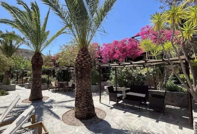 Studios Stella & Stella S Traditional