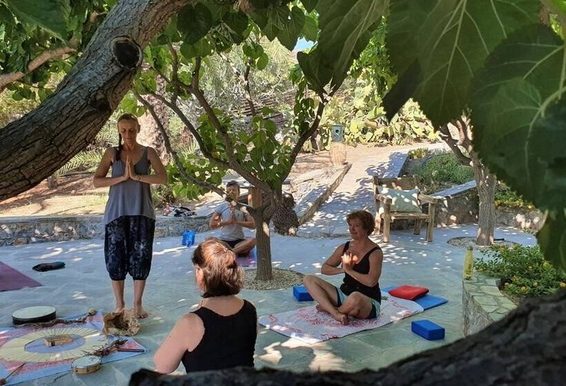 Studios Stella & Stella S Traditional