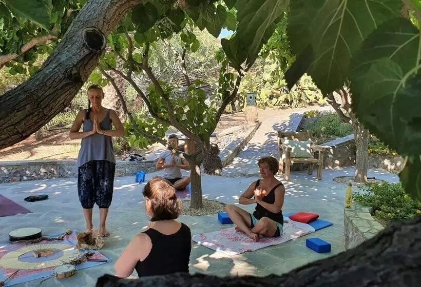 Studios Stella & Stella S Traditional