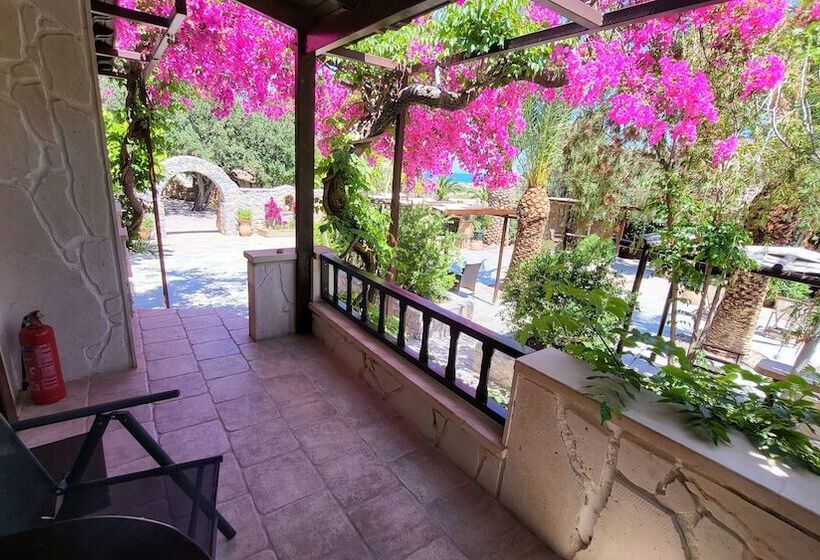 Studios Stella & Stella S Traditional