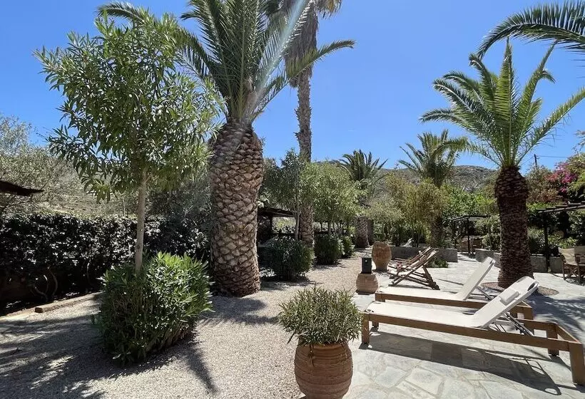 Studios Stella & Stella S Traditional